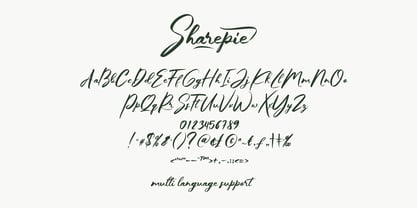 Sharepie Font Poster 11