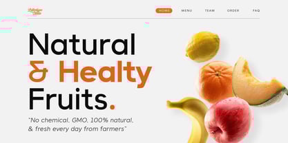 Lugio Sans Font Poster 14