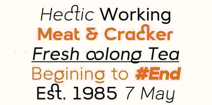 Lugio Sans Font Poster 11