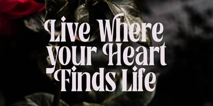 Reshika Font Poster 6