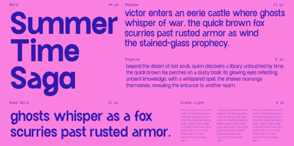 Dh Pafigo Font Poster 11
