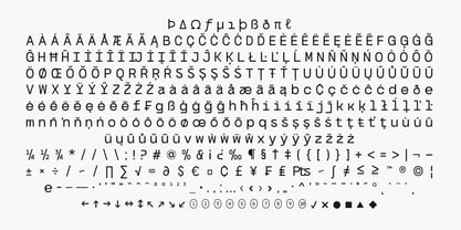 Bogita Mono Font Poster 13