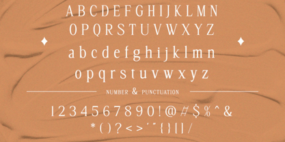 Signeure Font Poster 3