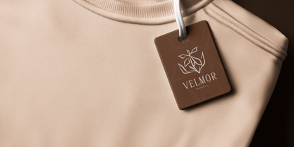 Signeure Font Poster 2