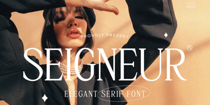 Signeure Font Poster 1