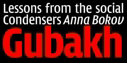 Druto Variable Font Poster 13