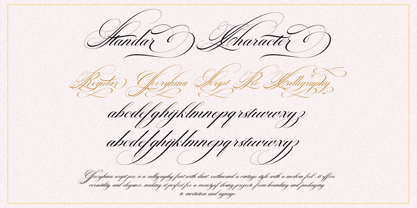 Georghina Script Pro Font Poster 14
