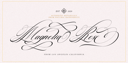 Georghina Script Pro Font Poster 12