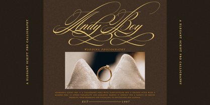 Georghina Script Pro Font Poster 3