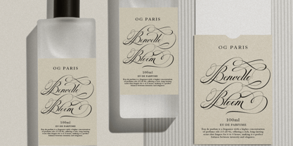 Georghina Script Pro Font Poster 9