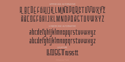 Hibyscas Font Poster 4
