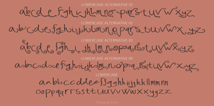 Hibyscas Font Poster 6