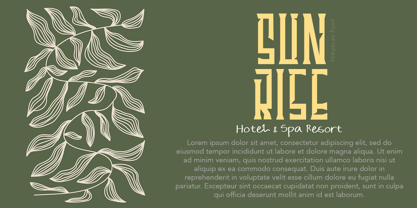 Hibyscas Font Poster 3