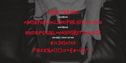 Spooky Scribble Font Poster 5