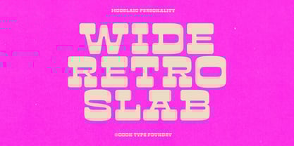 Cook Modslaic Font Poster 3