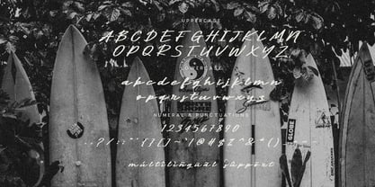 Pamlla Font Poster 6