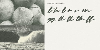 Pamlla Font Poster 2