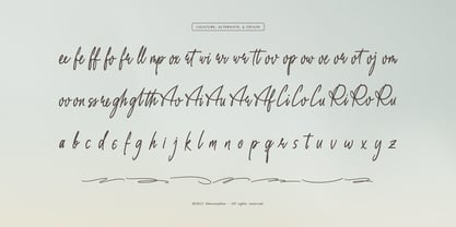 Daily Miracle Font Poster 12