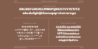 Gardina Font Poster 14