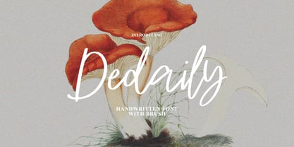 Dedaily Signature Font Poster 1