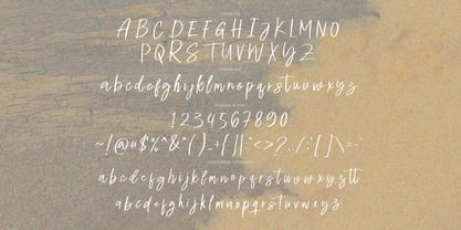 Dedaily Signature Font Poster 8