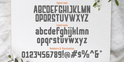 Bavares Font Poster 5