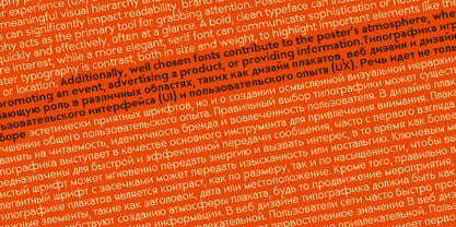 Nonia Font Poster 8