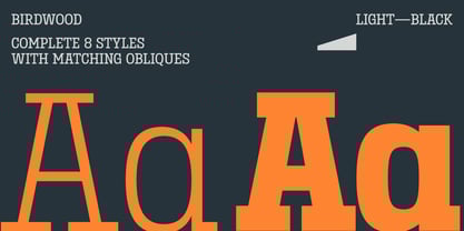 Birdwood Font Poster 6
