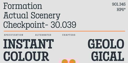 Birdwood Font Poster 4