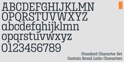 Birdwood Font Poster 7