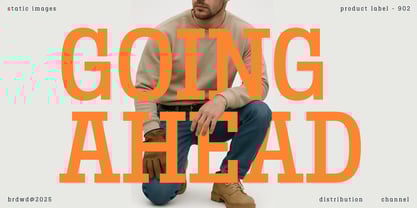 Birdwood Font Poster 10