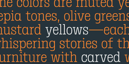 Birdwood Font Poster 9