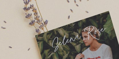 Mafisty Signature Font Poster 4