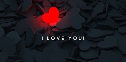 Fox Linea Font Poster 7