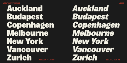 Leinfrakt Font Poster 5