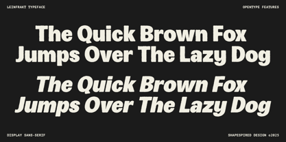 Leinfrakt Font Poster 10