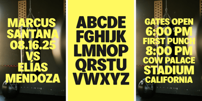 Leinfrakt Font Poster 6