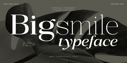 Bigsmile Serif Family Font Poster 1