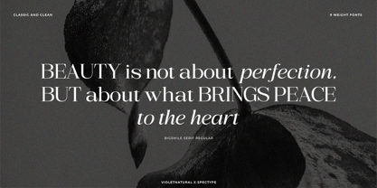 Bigsmile Serif Family Font Poster 12