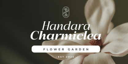 Bigsmile Serif Family Font Poster 9