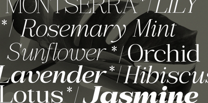 Bigsmile Serif Family Font Poster 11