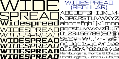 Widespread Font Poster 6