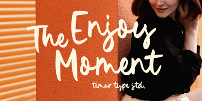 January Colier Font Poster 2