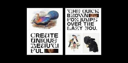 Bosher Display Font Poster 8