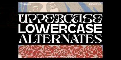 Bosher Display Font Poster 4