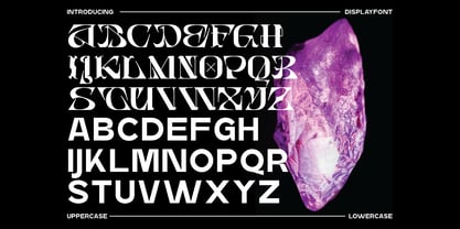 Bosher Display Font Poster 2