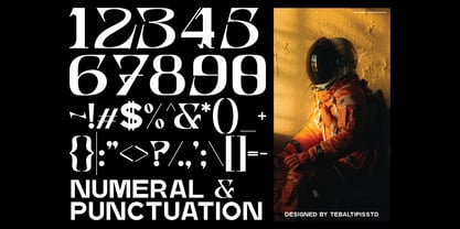 Bosher Display Font Poster 11