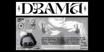 Bosher Display Font Poster 6