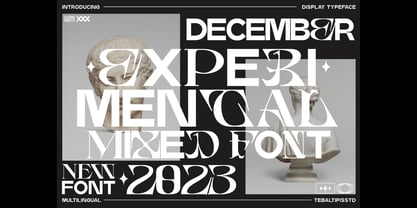 Bosher Display Font Poster 5