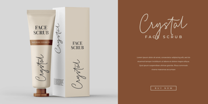 Bellary Font Poster 2